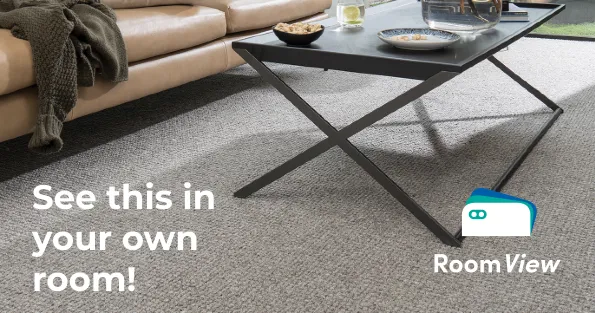 RoomView - See this in your own room!